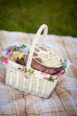 Basket with Donuts cookies on picnic on nature