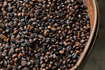 Coffee beans in Bali Plantage