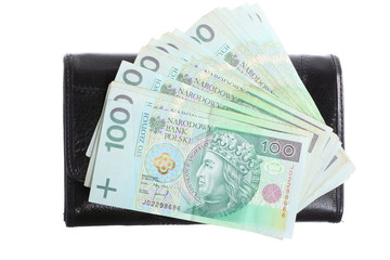 Economy and finance. Purse with polish banknote isolated