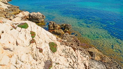 rocky shore and blue sea