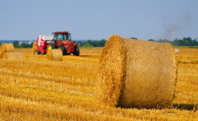 Tractor making hay bales on agricultural field