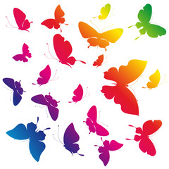 butterflies design