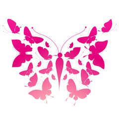 butterflies design