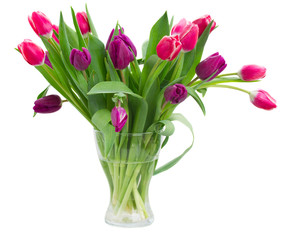pink   and violet tulips bouquet in vase