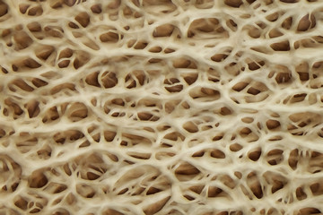 Computer generated abstract background and detail of fiber