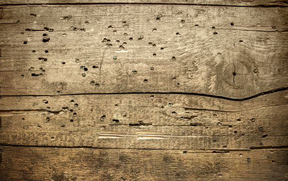 texture of old wooden planks pitted termites , background