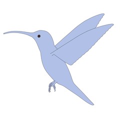 cartoon image of colibri bird