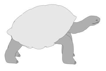 cartoon image of geochelone nigra