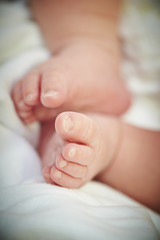 Feet of newborn