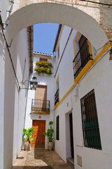 Calleja de las Flores at the La Juderia in Cordoba, Spain