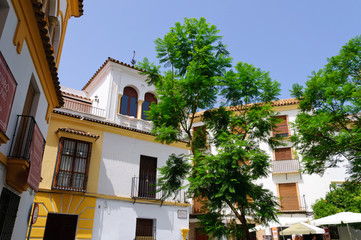 Fototapeta na wymiar Calleja de las Flores at the La Juderia in Cordoba, Spain