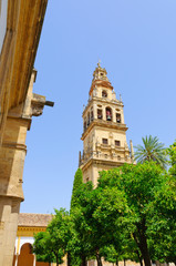Fototapeta na wymiar Mezquita in Cordoba, Spain