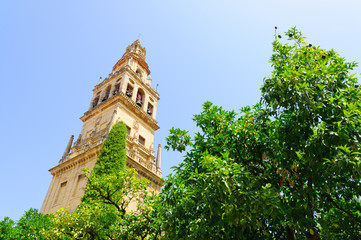 Mezquita in Cordoba, Spain