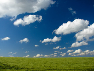 Obraz premium champ ciel bleu