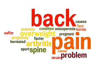 Obraz premium Back pain word cloud