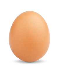 chicken egg