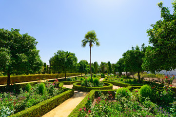 Naklejka premium Alcazar in Cordoba, Spain