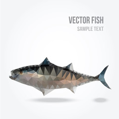 Modern polygon illustration of tuna fish, vector triangle design