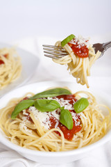 Spaghetti Pasta