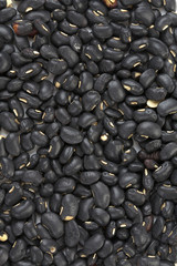 background from black bean