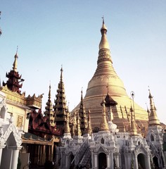 Fototapeta premium shwedagon pagoda in Yangon, Myanmar