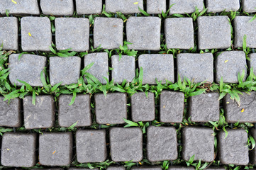 Seamless Tileable Texture of Paving Slabs.