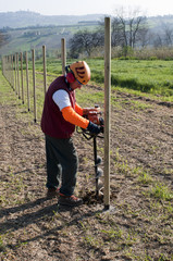 Auger combustio engine