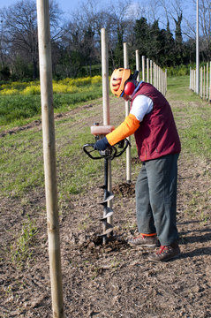 Worker And Auger