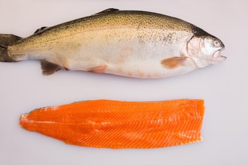Closeup of raw fish
