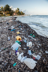 Ocean Pollution