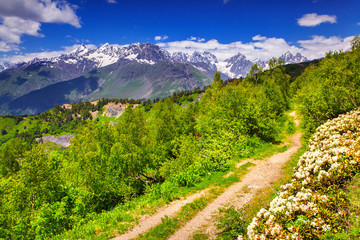 Alpine meadows in the Caucasus mountains.