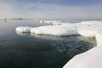 Bay with pancake ice starting to freeze. © andreanita
