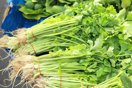 celery fresh in the market.