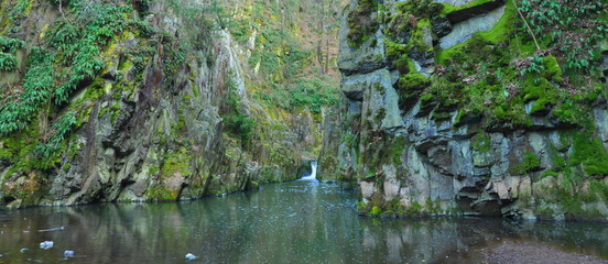 photo of small waterfall in forest