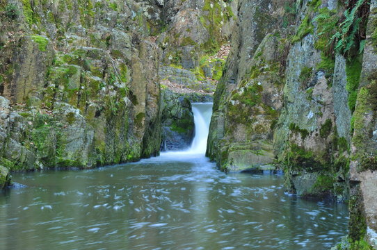 photo of small waterfall in forest