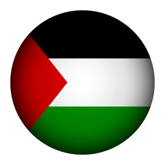Palestine flag button.
