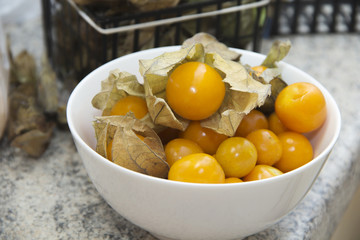 Physalis