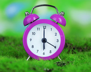 Purple alarm clock on grass on natural background