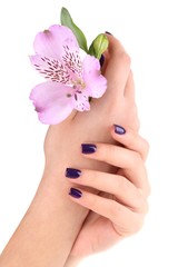 Beautiful woman hands with flower isolated on white