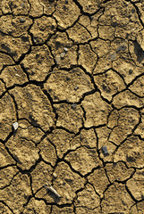 cracked earth texture background