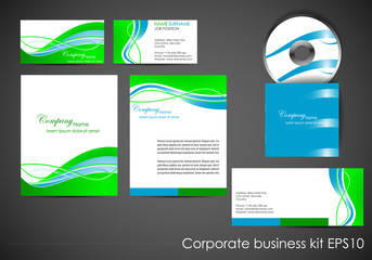 Professional corporate identity kit or business kit