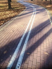 Fototapeta premium Empty bike lane