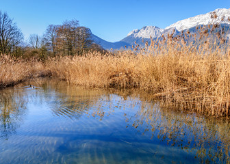 Réserve naturelle du Bout du lac d'Annecy
