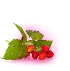 Raspberries  isolated on white background.