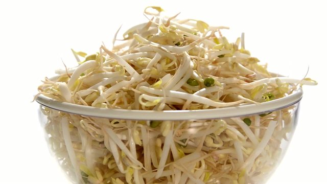 bean sprouts