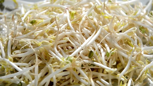 bean sprouts