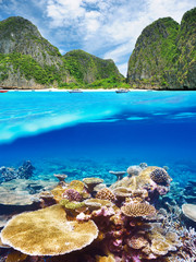 Fototapeta premium Lagoon with coral reef underwater view