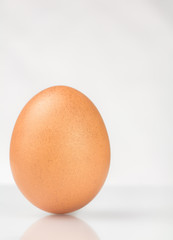Brown chicken egg with reflection