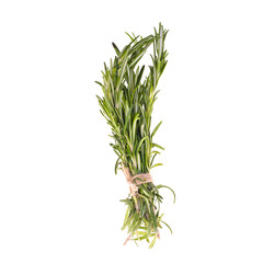 Obraz premium Rosemary Isolated on White Background
