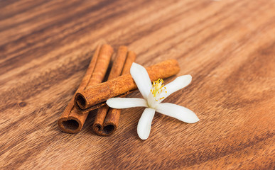 Cinnamon sticks with lemon flower
